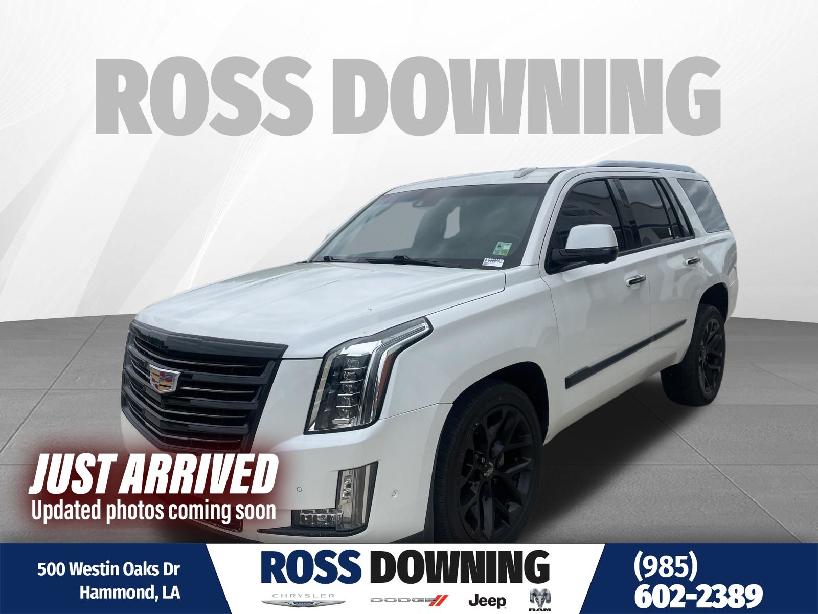 Crystal White Tricoat 2018 Cadillac Escalade Platinum 4WD SUV / Crossover Four-Wheel Drive