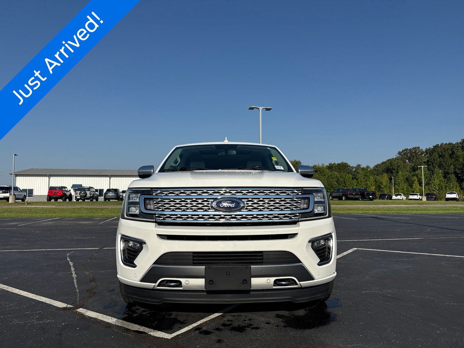 2020 Ford Expedition image 11