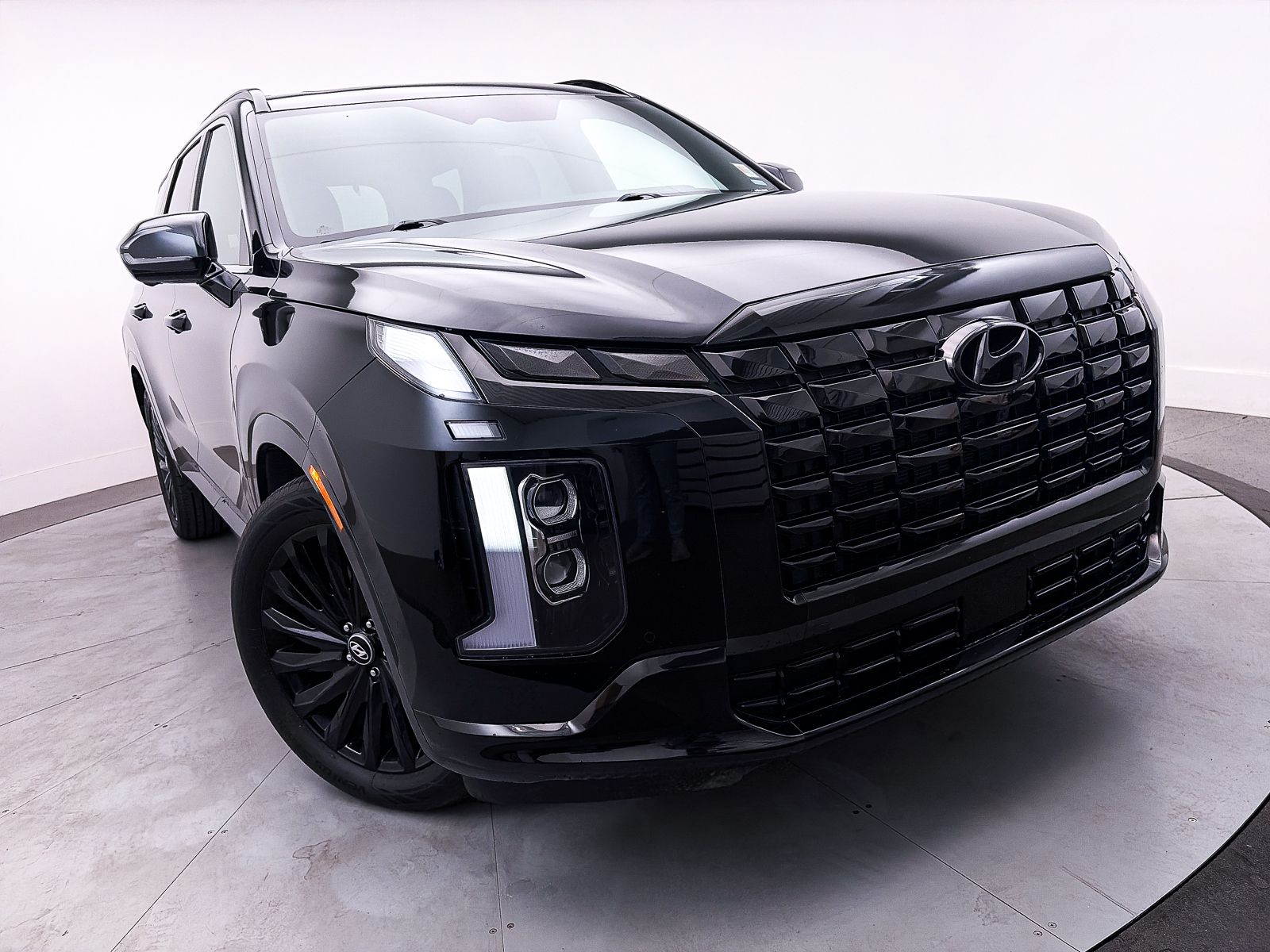 2024 Hyundai Palisade Calligraphy Night Edition - Photo 11