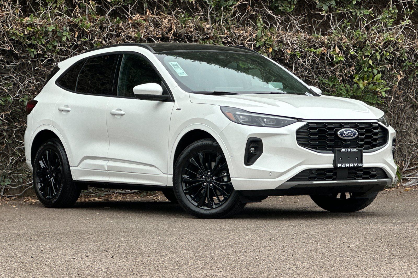 2024 Ford Escape ST-Line Elite AWD