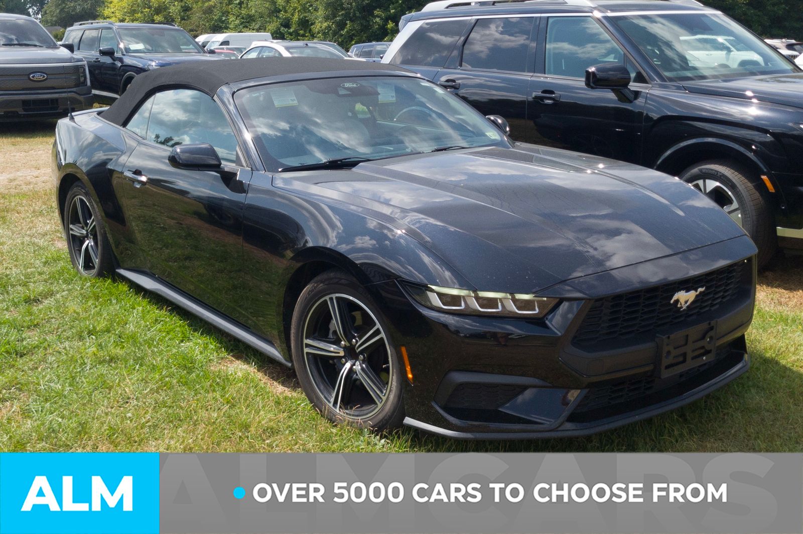 Used 2024 Shadow Black Ford EcoBoost Premium image 2