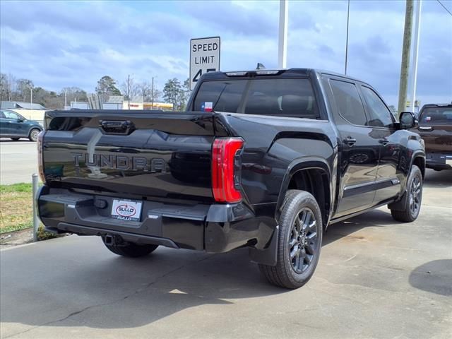 2025 Toyota Tundra Platinum - 10