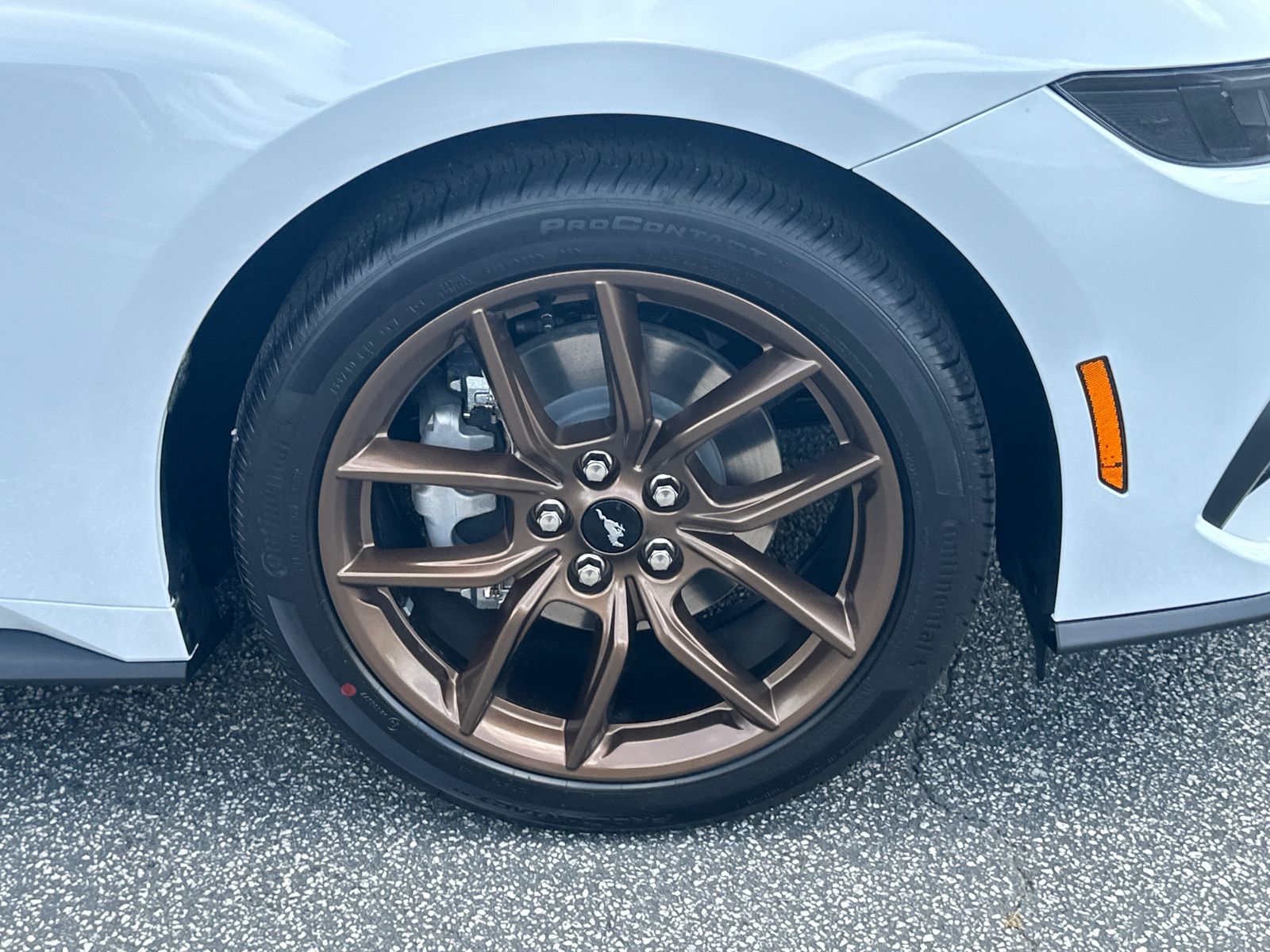 New 2026 Oxford White Ford EcoBoost® Premium Fastback image 13