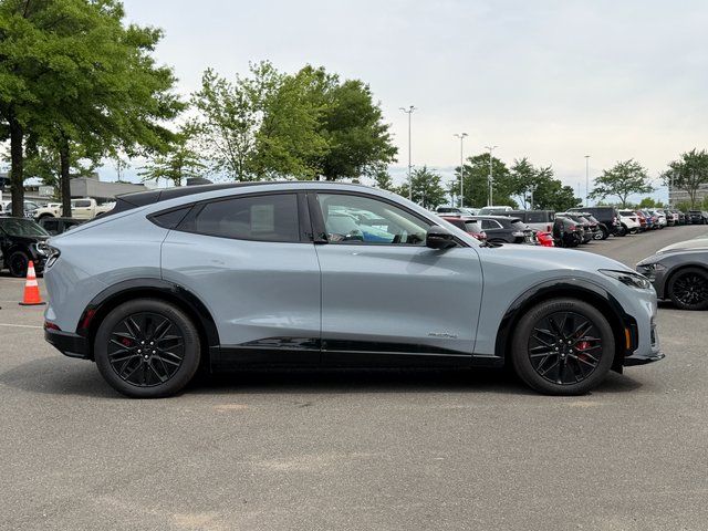 New 2025 Gray Ford Premium image 7