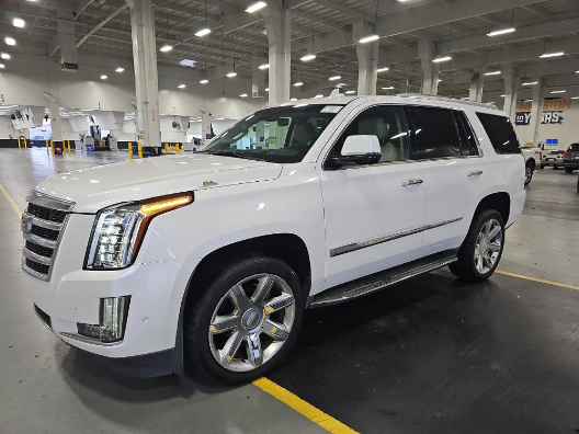 2018 Cadillac Escalade 2WD Luxury's photo