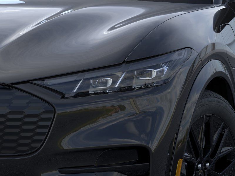 New 2026 Shadow Black Ford Premium image 18