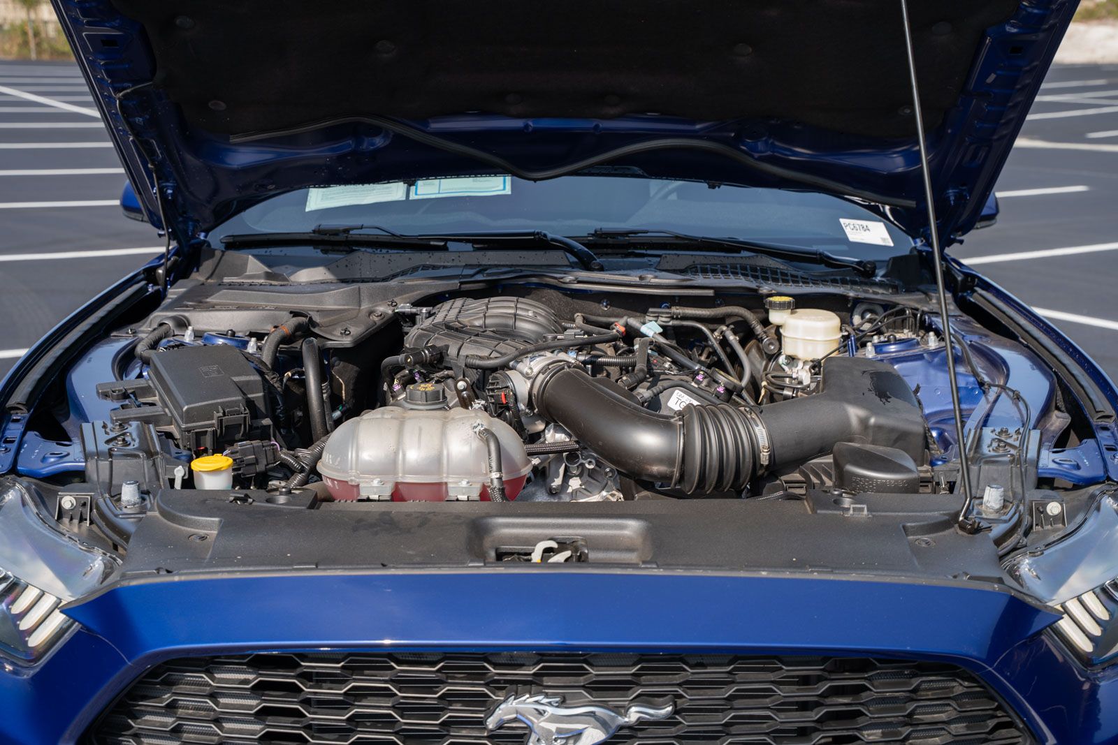 Used 2016 Ford Mustang Coupe