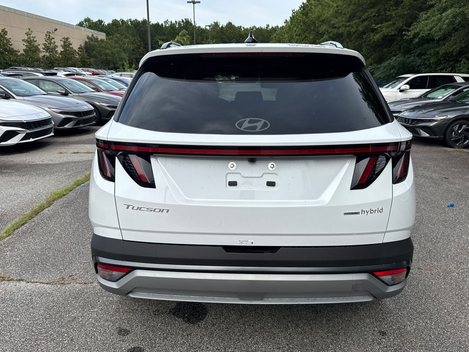 2025 Hyundai Tucson Hybrid SEL Convenience photo 6