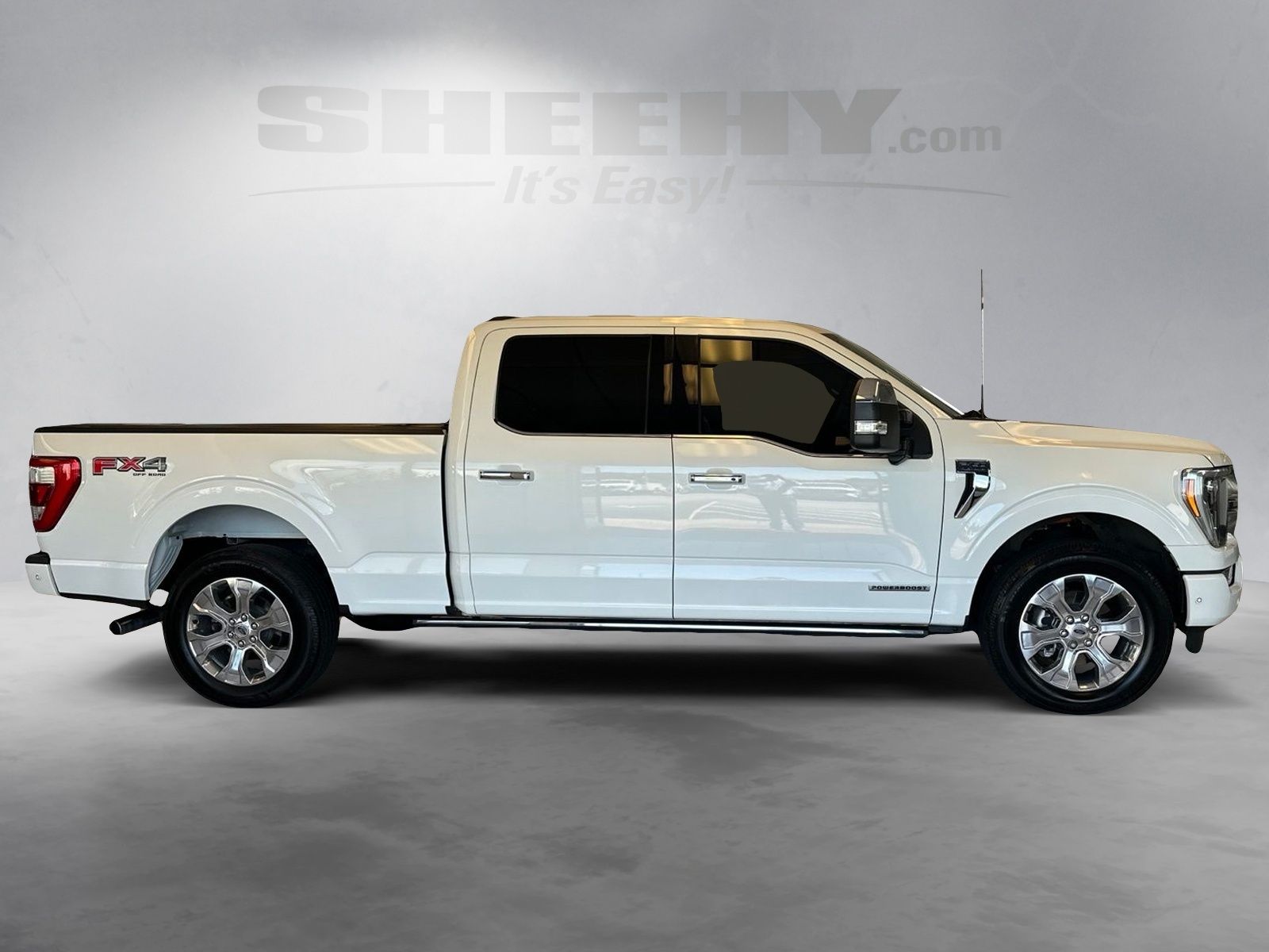 Certified Used 2022 Star White Ford Platinum image 10