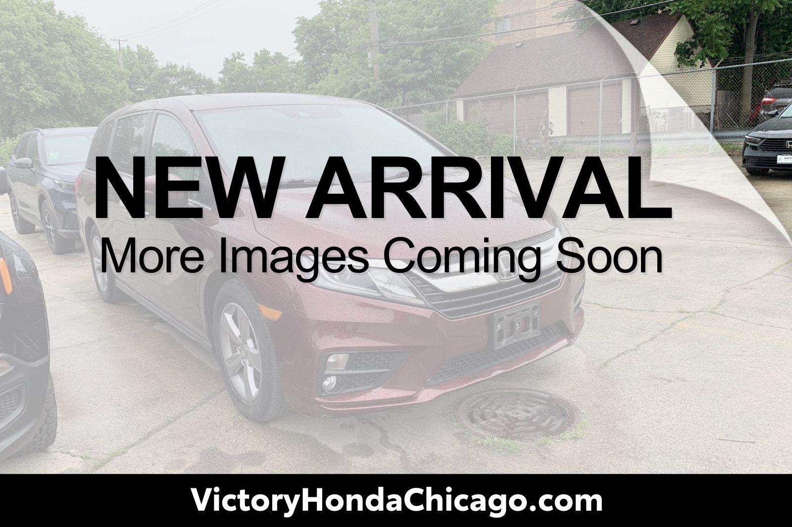 Red (Deep Scarlet Pearl) 2019 Honda Odyssey EX-L FWD Minivan Front-Wheel Drive 9-Speed Automatic