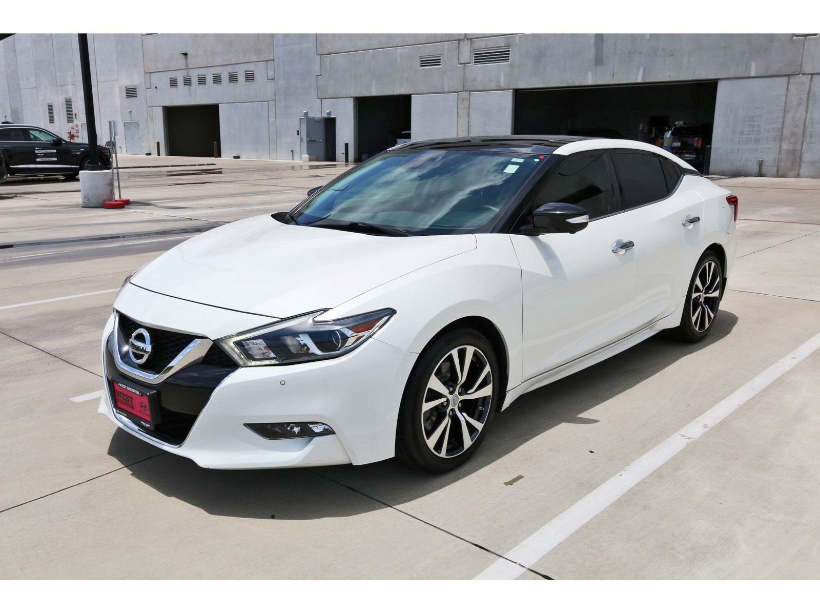 Maxima Platinum