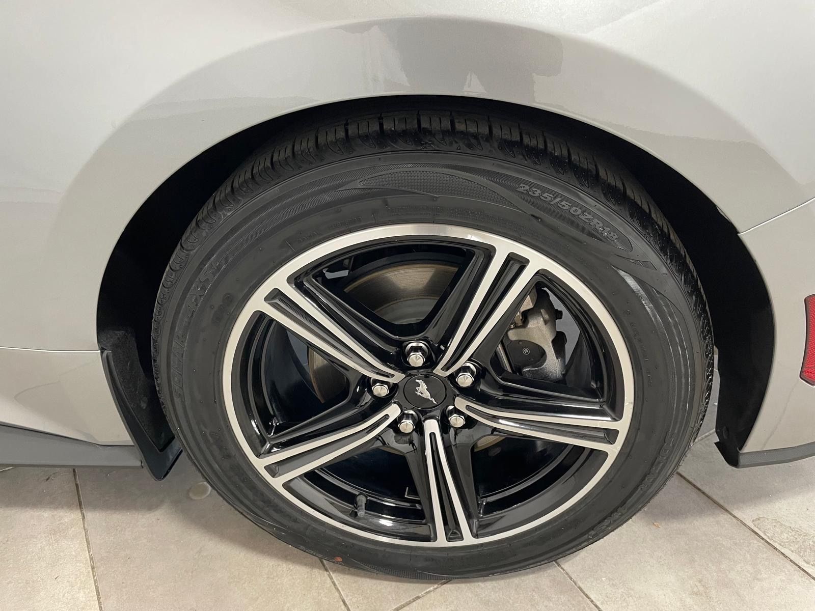 Used Car 2024 Ford Mustang  Ecoboost For Sale Under $35,000 In Austin, Texas