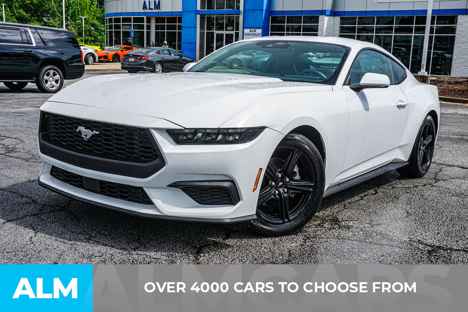 Used 2026 White Ford EcoBoost Premium image 2
