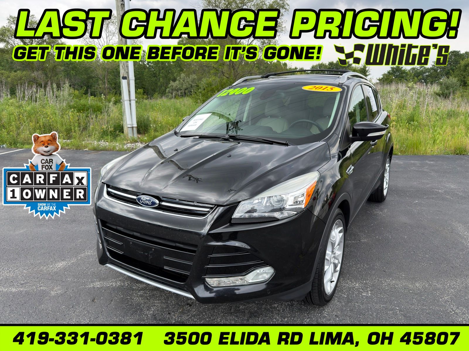 Tuxedo Black 2015 Ford Escape SUV / Crossover All-Wheel Drive 6-Speed Automatic