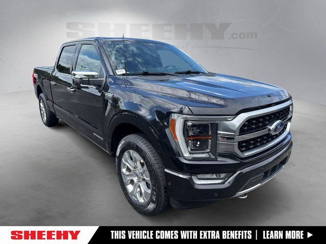 2021 Ford F-150 Platinum 4x4 SuperCrew 5-1/2 Box's photo