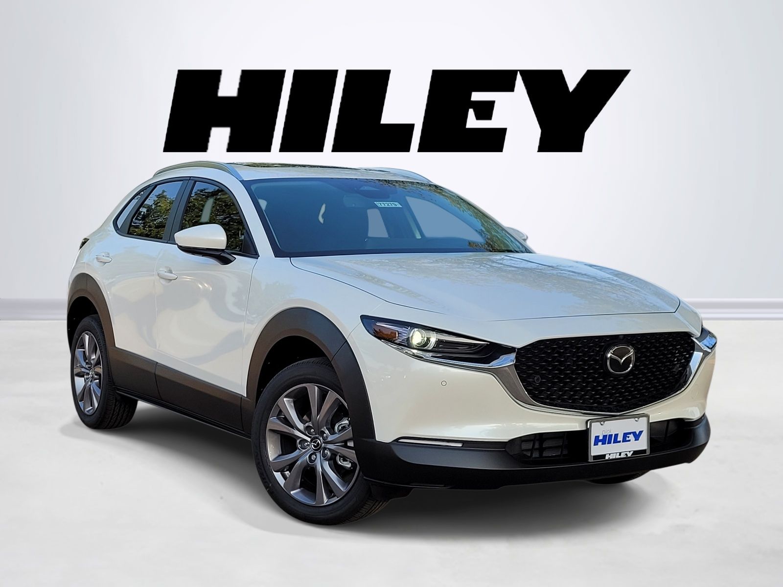 2026 Mazda Mazda CX-30 2.5 S Premium AWD
