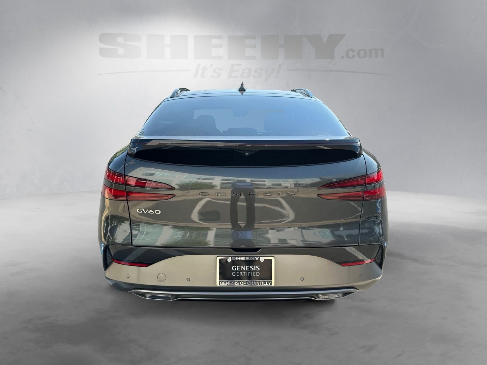 Used 2024 Gray Genesis Standard image 13