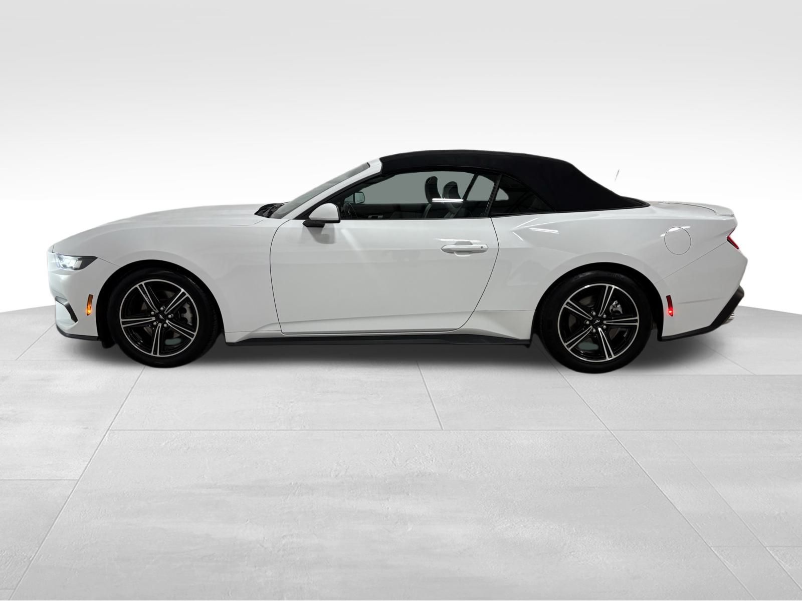 Used Car 2024 Ford Mustang  Ecoboost Premium For Sale Under $30,000 In Austin, Texas