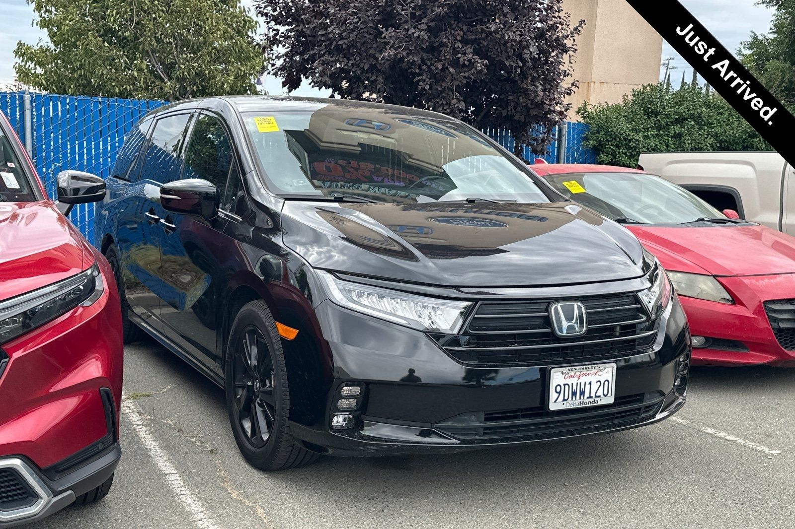2023 Honda Odyssey Sport