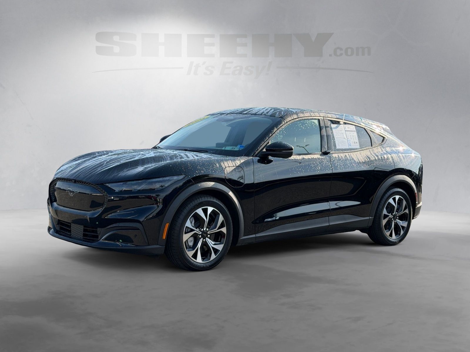 Certified Used 2025 Shadow Black Ford Select image 16