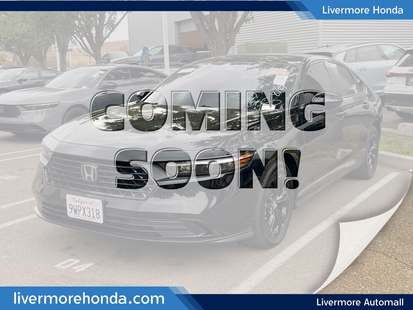 2025 Honda Accord Sedan SE