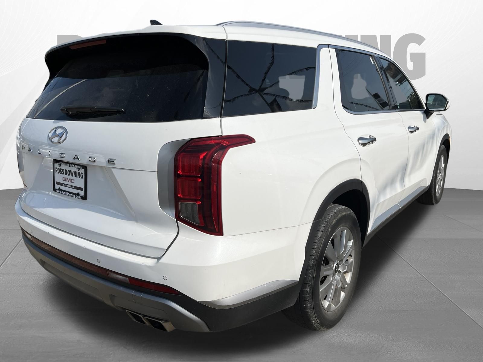 2024 Hyundai Palisade SEL - 3