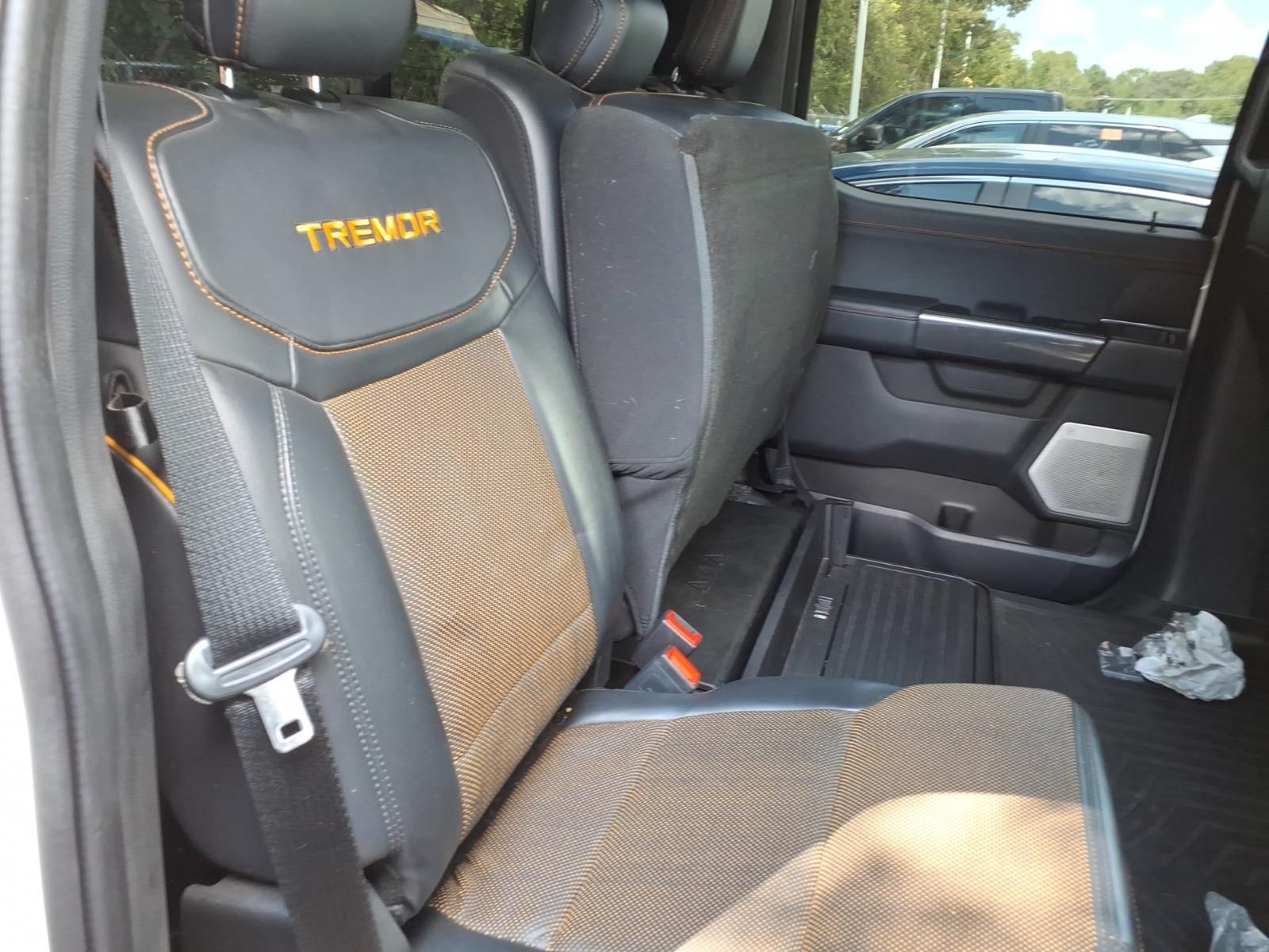 2021 Ford F-150 Tremor - 10