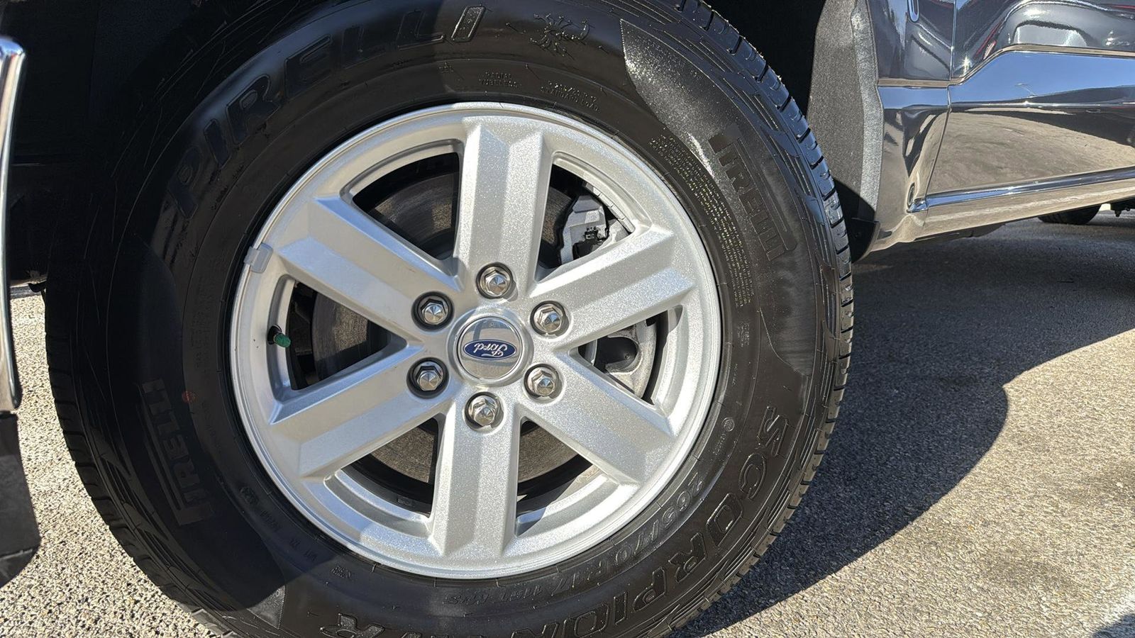 Used Car 2025 Ford F-150  Xl For Sale Under $60,000 In Austin, Texas