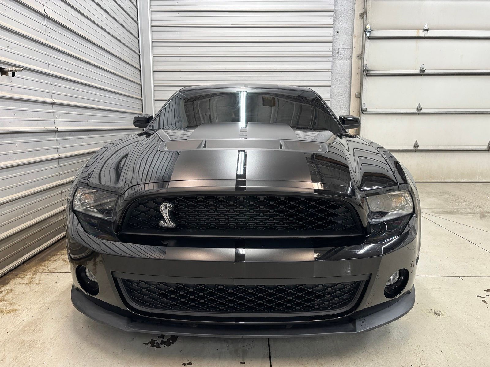 Photo 2 of 2010 Ford Shelby GT500 Shelby GT500