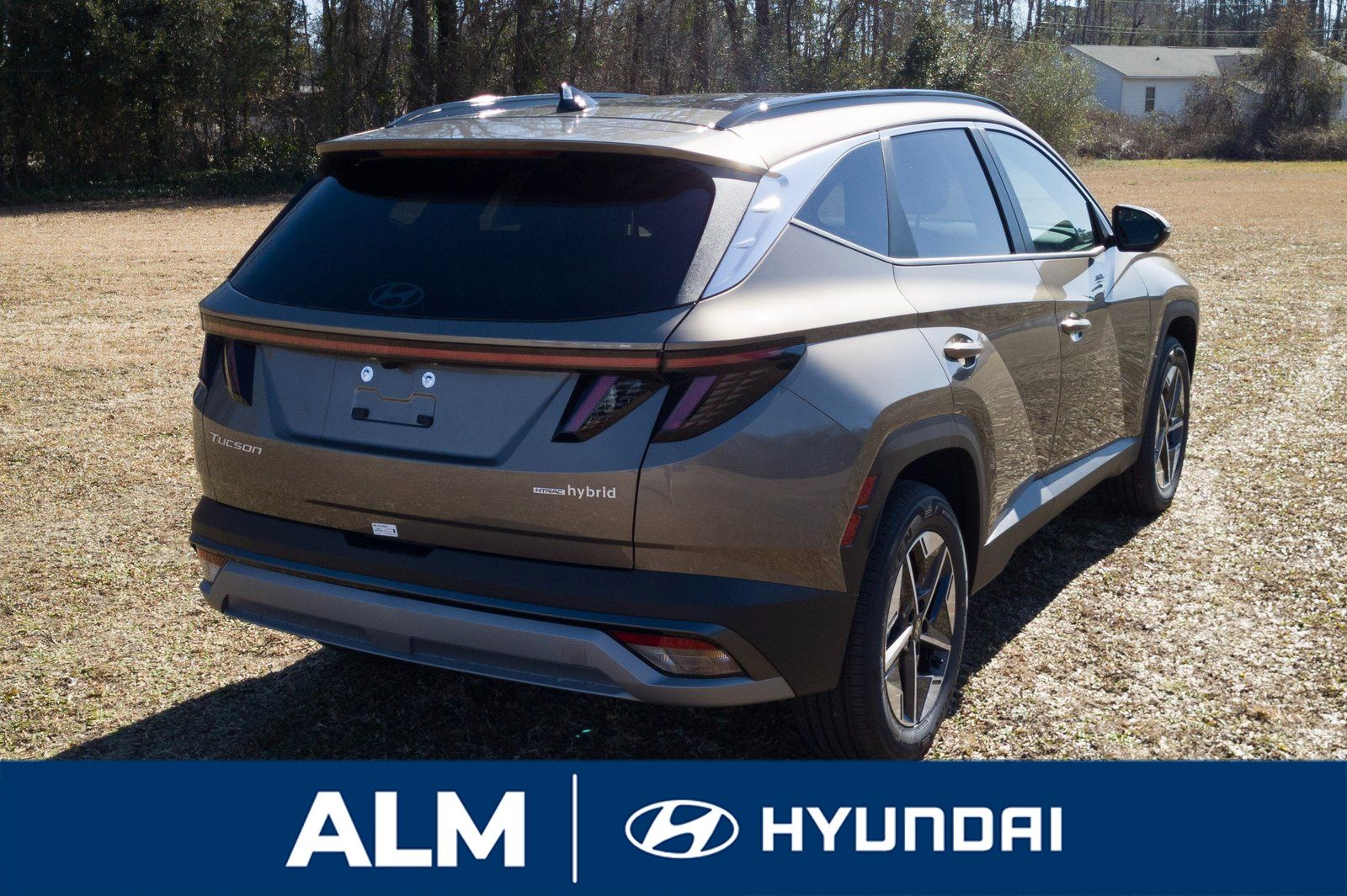 2025 Hyundai Tucson Hybrid SEL Convenience photo 4