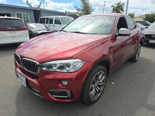2018 BMW X6 sDrive35i's photo