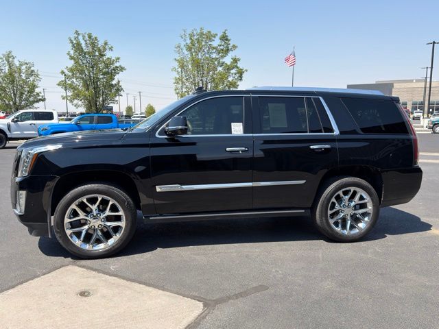 Used 2019 Cadillac Escalade SUV