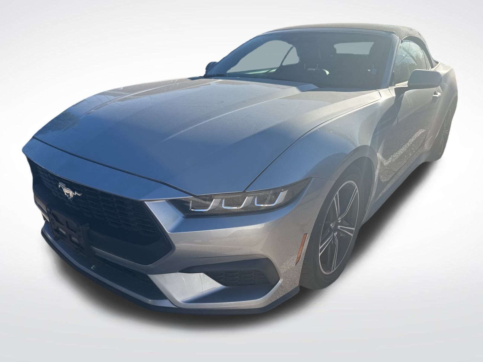 Used Car 2024 Ford Mustang  Ecoboost For Sale Under $35,000 In Austin, Texas