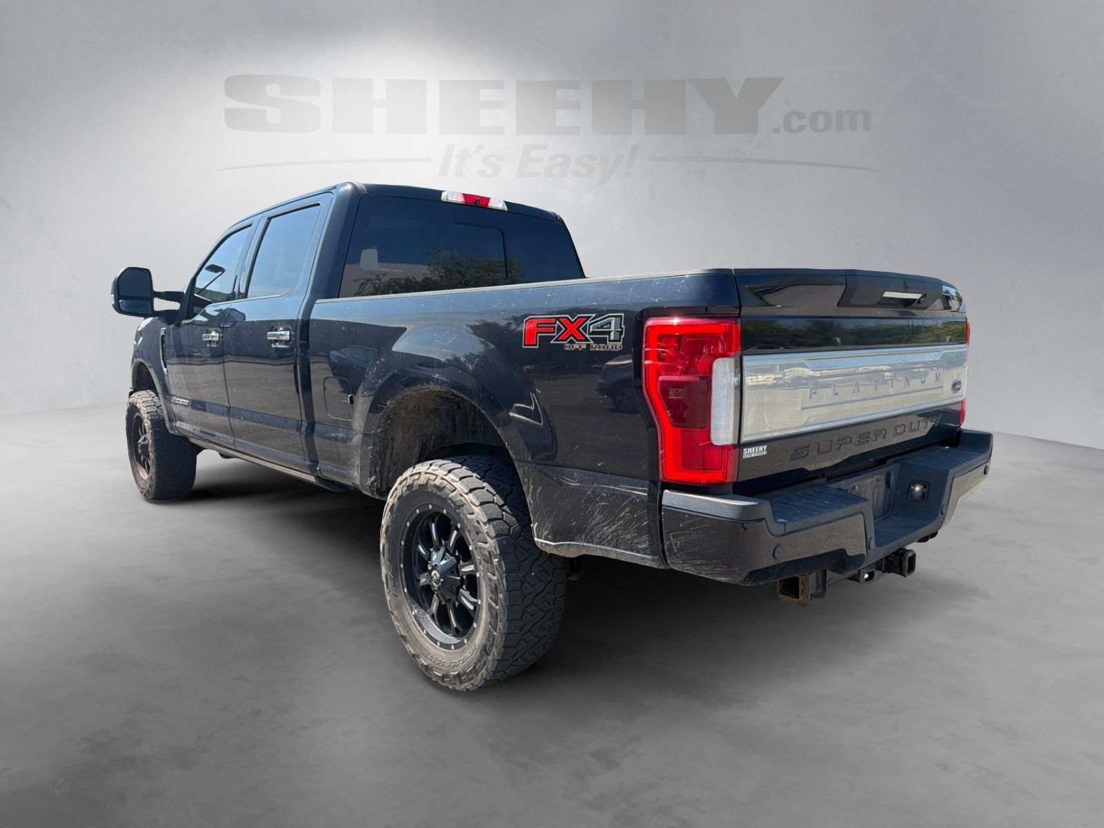 Used 2019 Black Ford Platinum image 13