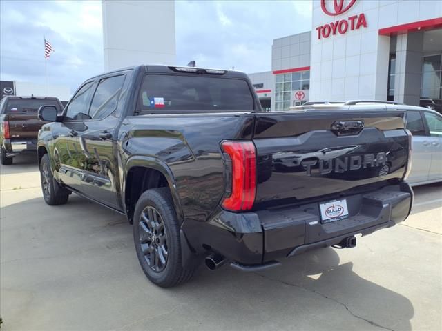2025 Toyota Tundra Platinum - 1