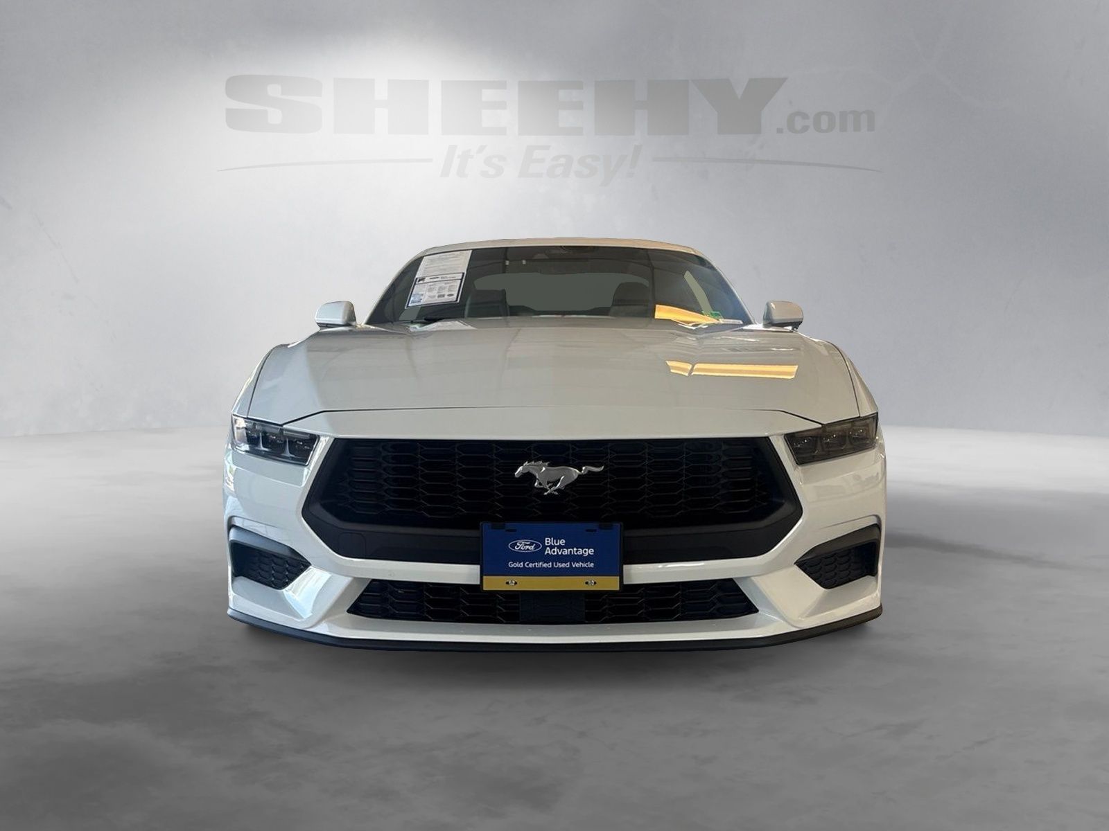 Certified Used 2026 Oxford White Ford EcoBoost image 13