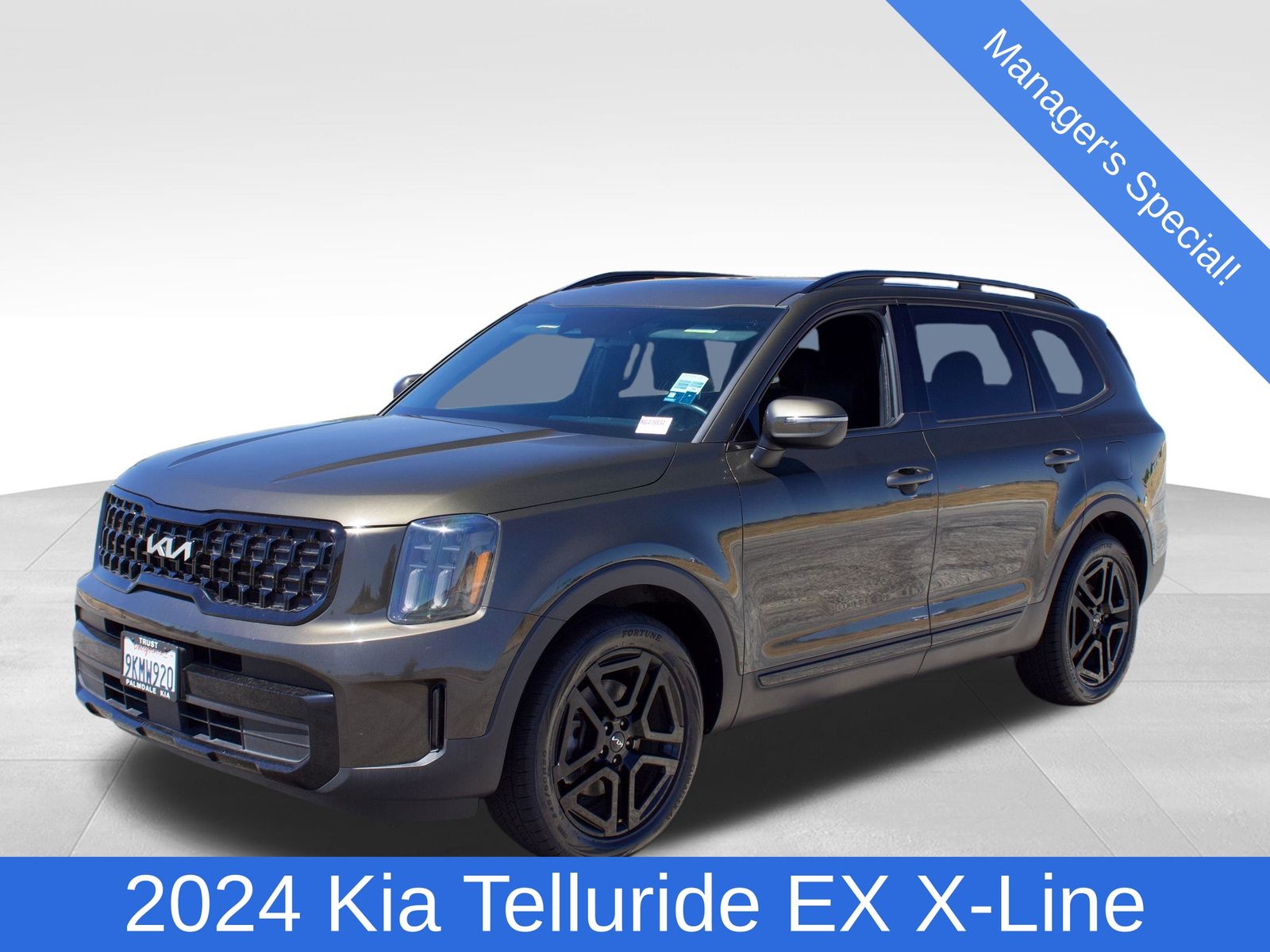 Dark Moss 2024 Kia Telluride SUV / Crossover All-Wheel Drive 8-Speed Automatic
