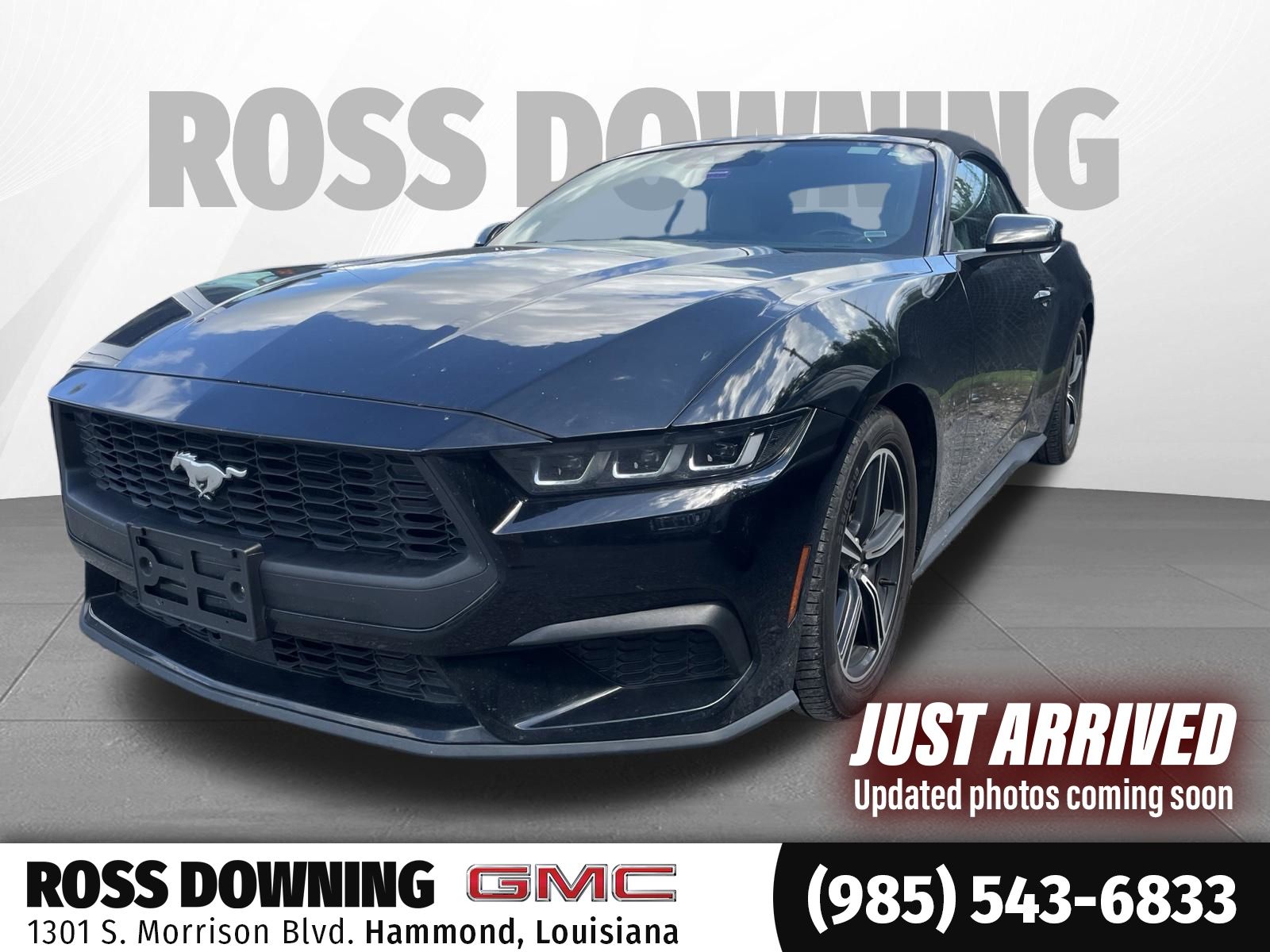 Shadow Black 2024 Ford Mustang Convertible Rear-Wheel Drive Automatic
