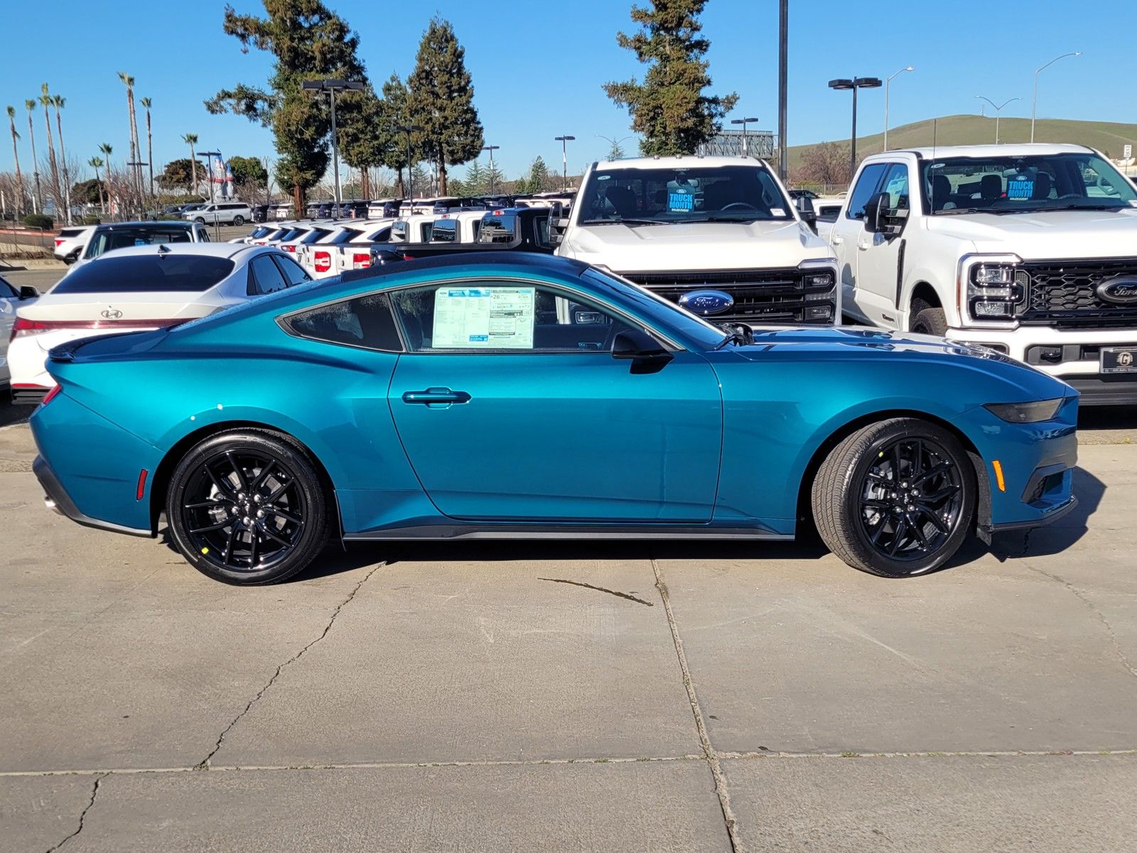 New 2026 Blue Ford EcoBoost image 3