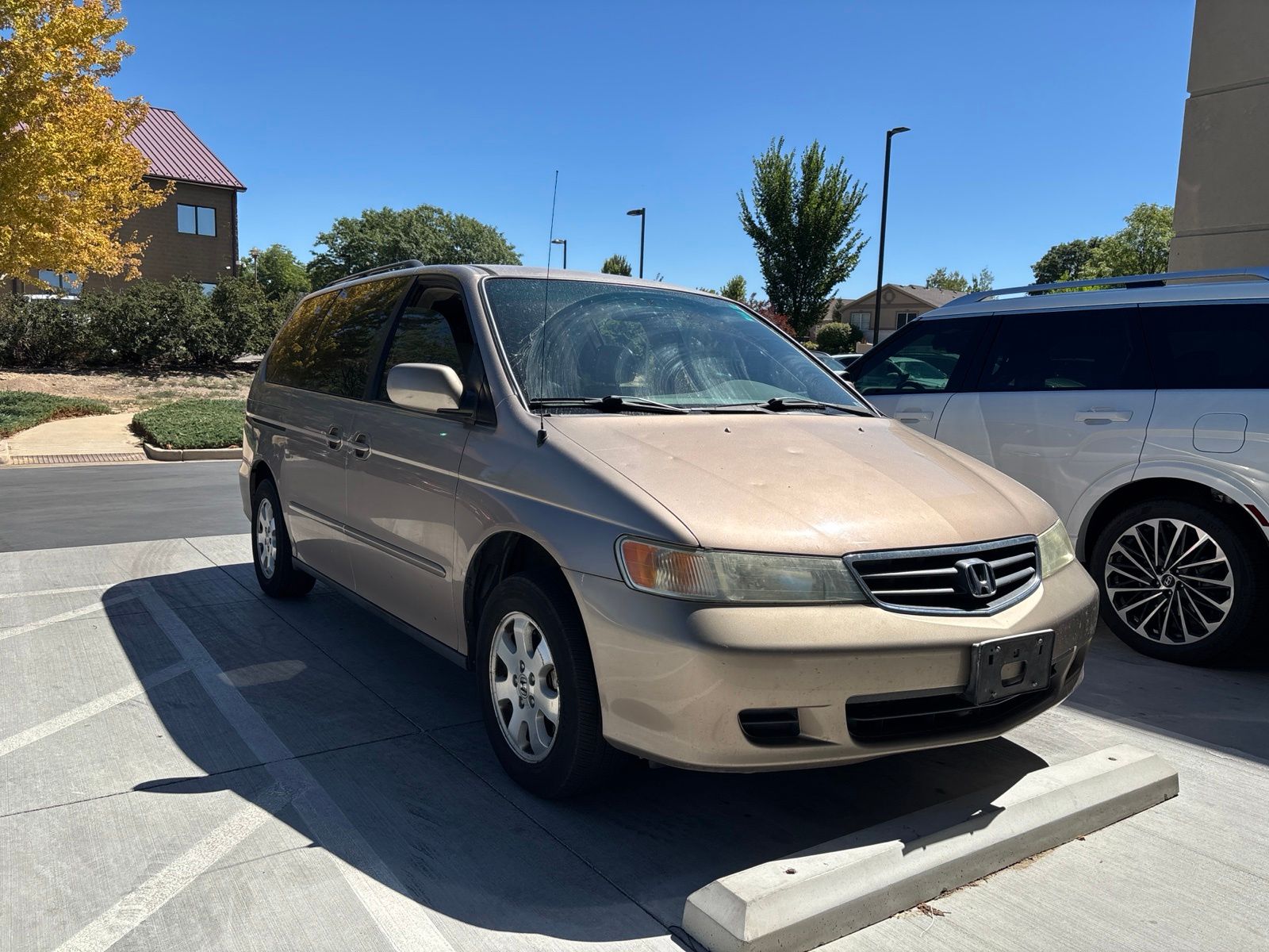 Gold 2004 Honda Odyssey Minivan Front-Wheel Drive 5-Speed Automatic Overdrive