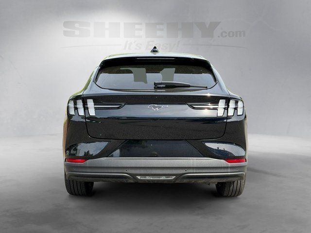 Certified Used 2025 Shadow Black Ford Premium image 11
