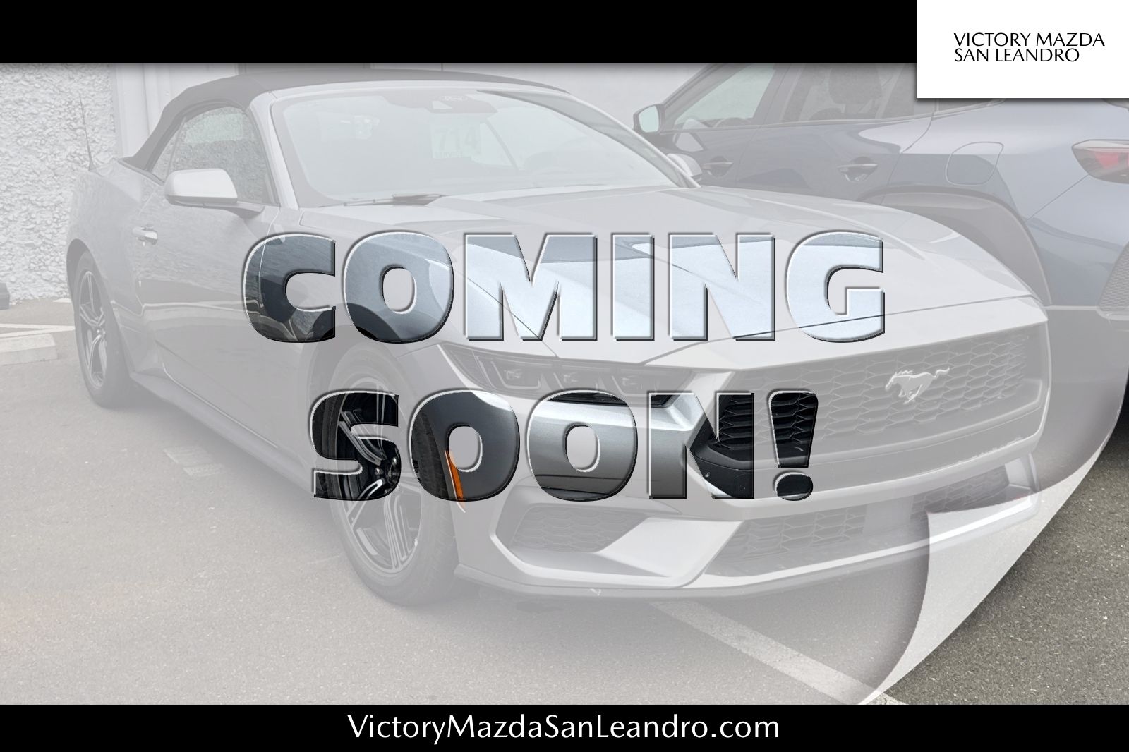 Silver Metallic 2025 Ford Mustang Convertible Rear-Wheel Drive Automatic