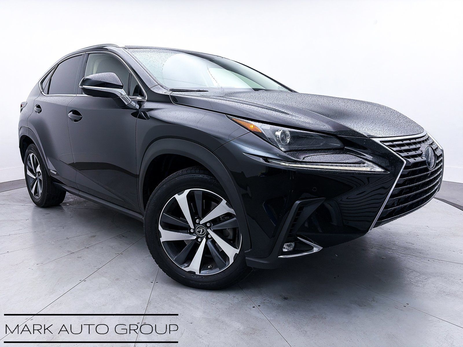2019 Lexus NX 300h