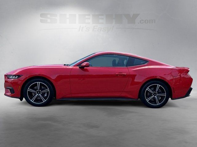 Used 2025 Race Red Ford EcoBoost Premium image 13