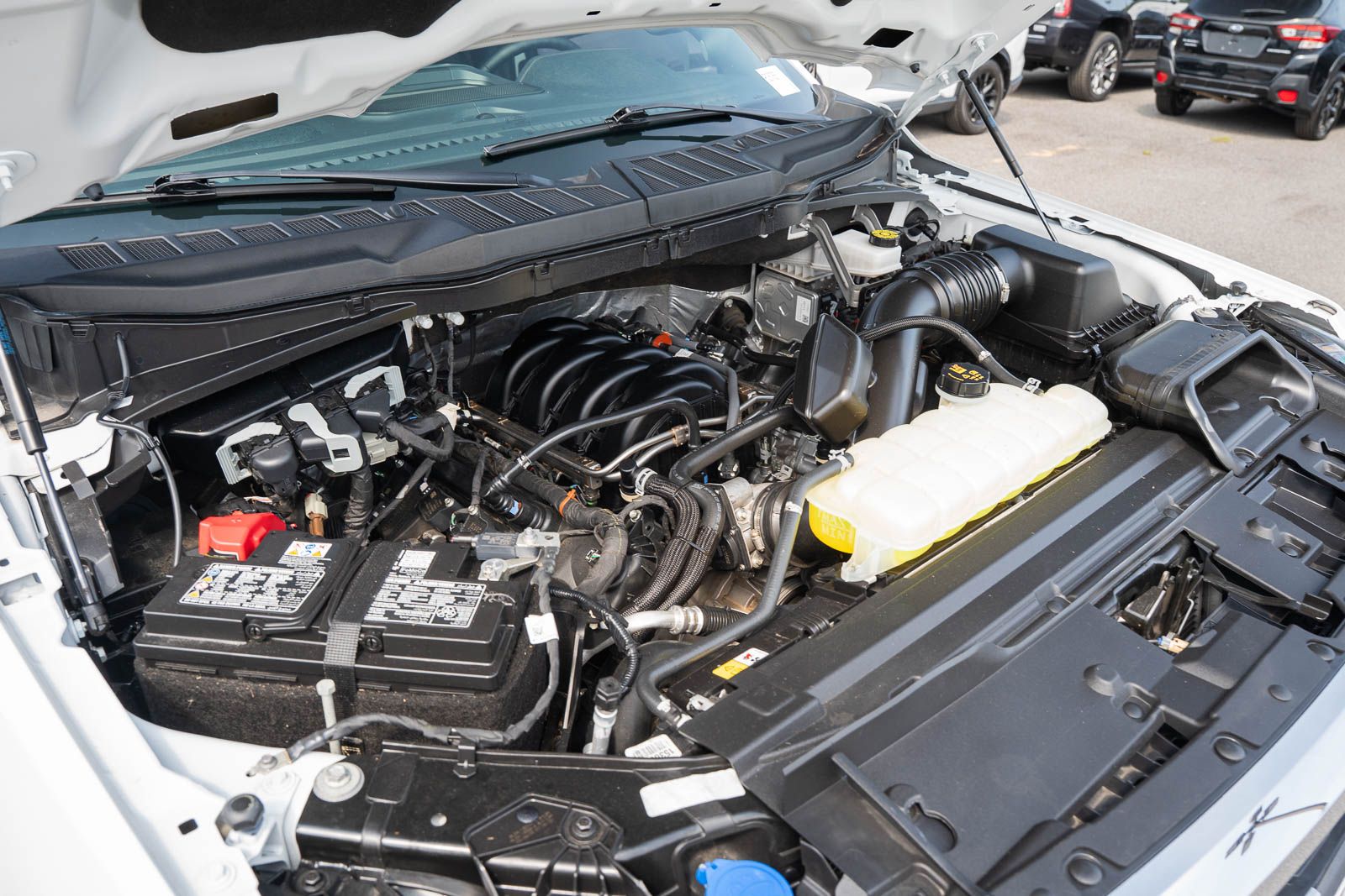 Used 2025 Ford F-150 Truck