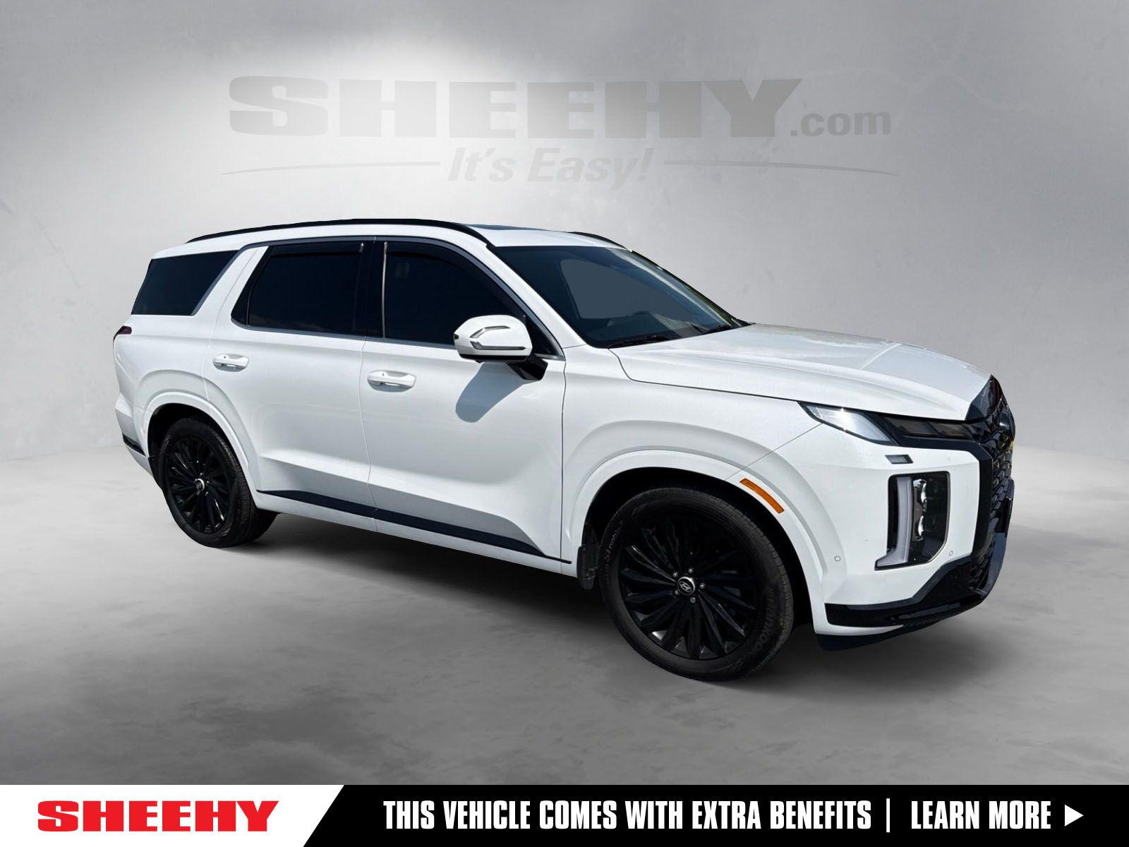 2025 Hyundai Palisade Calligraphy Night Edition