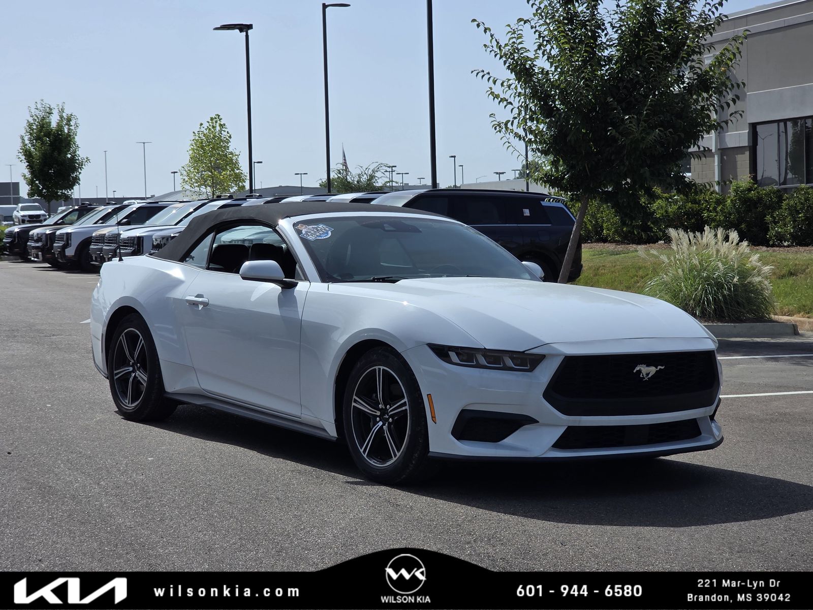  2024 Ford Mustang EcoBoost Premium Convertible RWD   