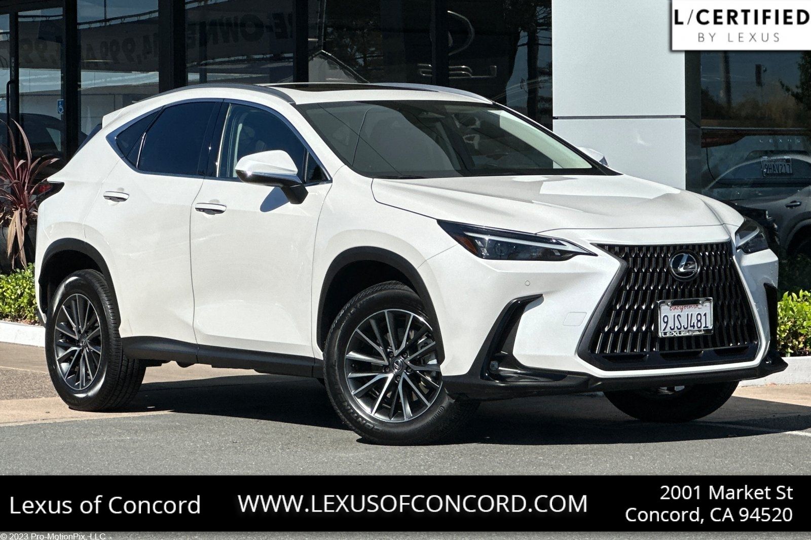 2024 Lexus NX Hybrid 350h Premium AWD