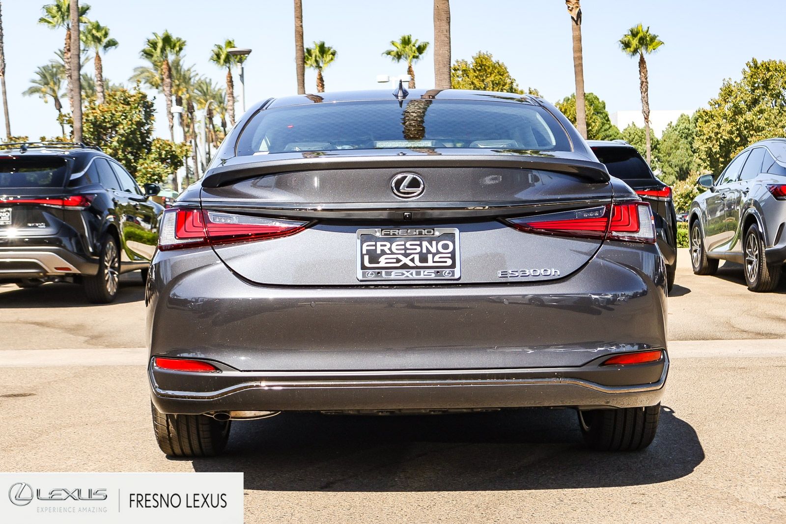 New 2025  Lexus 300h F SPORT Design image 5