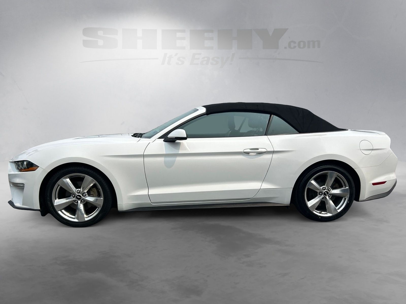 Certified Used 2019 Oxford White Ford EcoBoost Premium image 14